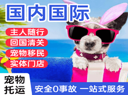 伊金霍洛国际宠物托运 【国